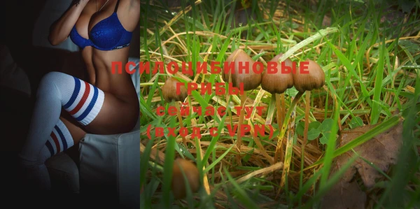 apvp Алексеевка